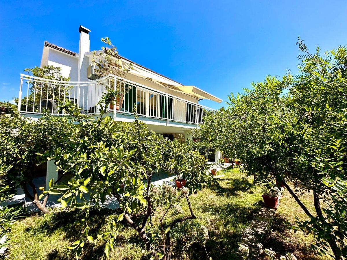 Perla&Palma Villa Žaborić Kültér fotó